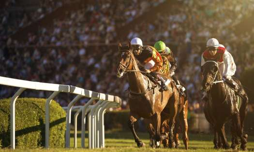 Dubai world cup 2022.